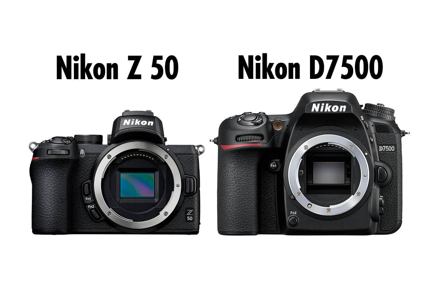 Nikon Z 50とD7500のスペックを比較